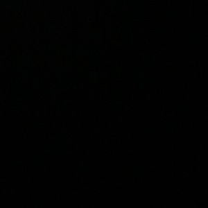 Meet your Posher, Lavy